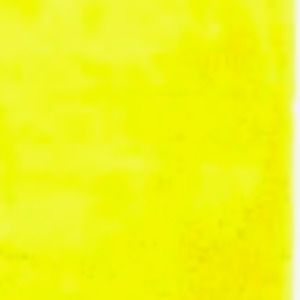 Meet your Posher, Mikayla